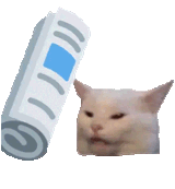 1732946163308712