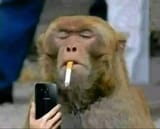 Monkey Watch Phone