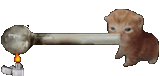 Thread 22965322 OP Image