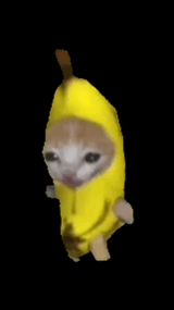 banana-cat-walking