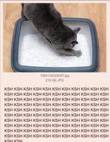 1744208845438416