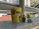 IMG_0983