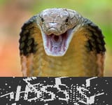 1687123759458291