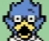 berd