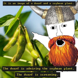 dwarf and soybean