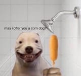 0d5ca0aacd2b6501f15c9a5095cd4365
