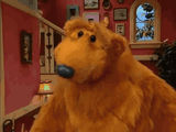 bear-sniffing