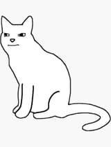 CAT WOJAK