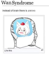 1750107733148500