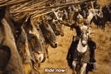 forth-eorlingas-rohirrim