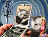 you will be ASSimilated