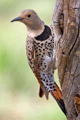 IMG_5649
