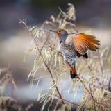 IMG_5652