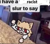I have a racist slur to say
