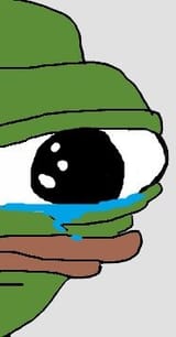 apu (397)