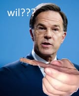 Marke The Dude Rutte