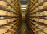 61240fba48c672553bc4cc47_BPRcheese