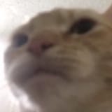 1655927632524