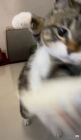 1747383093364816