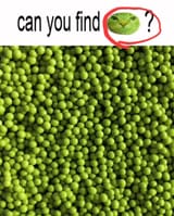 1739537759416645