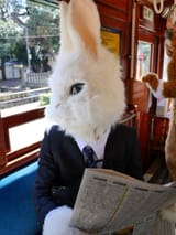 fursuit158