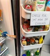check_for_cat_arm