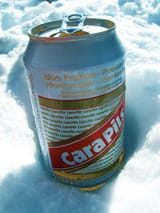 Carapils