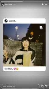 sheepxing_steinful_ig