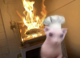 5 star chef