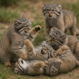 IMG_20250619_165611_329