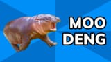 Moo-Deng-Meme
