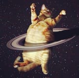 fat