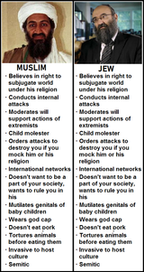jewvsmuslim2