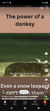 Screenshot_20240928-163837