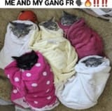 F2j8lFvaAAMZejq