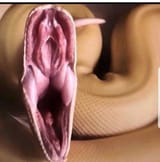 1643200256875