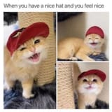 ---niceghat18018108