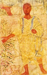 Mosesshromsandles