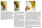 Circumcision through the ages
