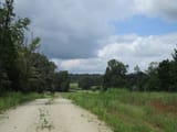IMG_0990-2