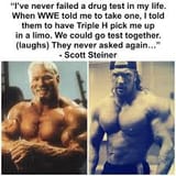 Steiner hhh