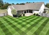 Why You Shouldn&#039;t Mix Grasses