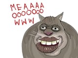tyrone-cat