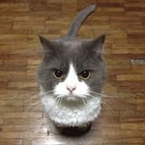 Thread 22864776 OP Image