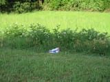 IMG_0790-2