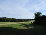 IMG_0799-2