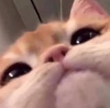 1681434214195482