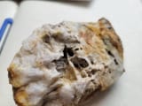 visible gold in vuggy quartz