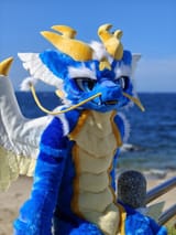 fursuit163