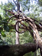 IMG_20250626_112839